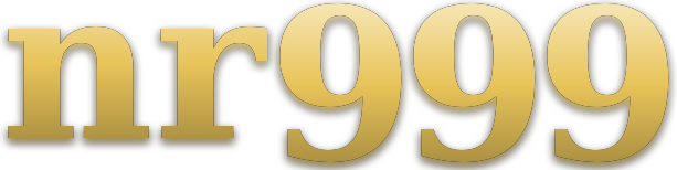 nr999 logo